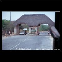 3-061 Etosha Nationalpark.jpg